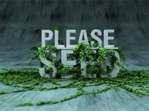 plzseed-300x225.jpg