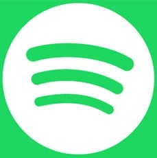 spotify pair not working